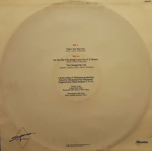 Mel & Kim : That's The Way It Is (12", Single)