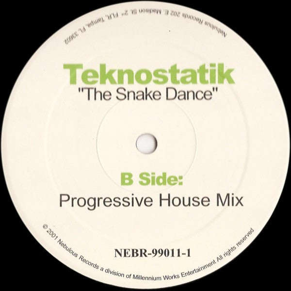 Teknostatik : The Snake Dance (12")