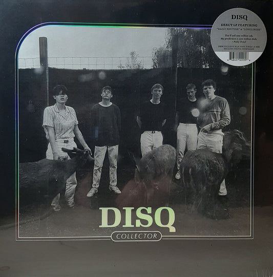 Disq (2) : Collector (LP, Album, Blu)