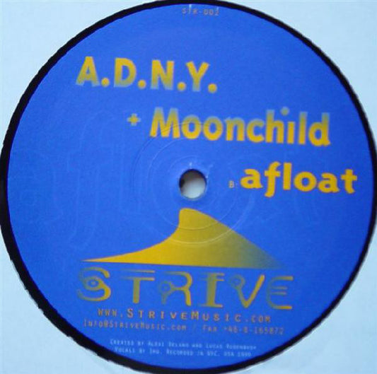 ADNY + Moonchild : Falling / Afloat (12")
