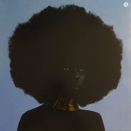 Sudan Archives : Sink  (12", EP)