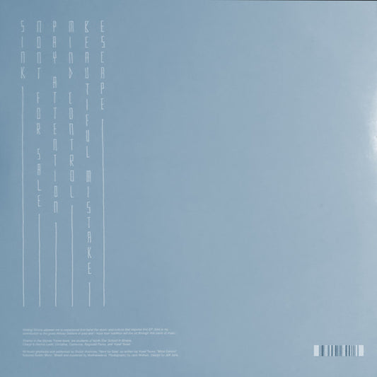 Sudan Archives : Sink  (12", EP)