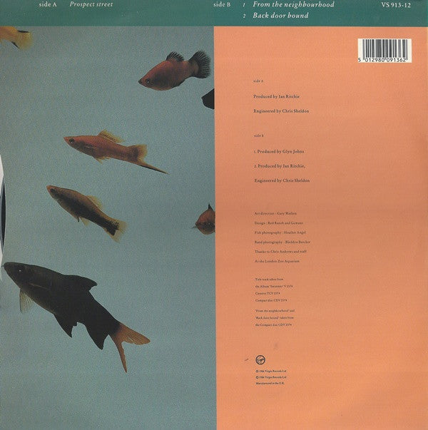 The Big Dish : Prospect Street (12")