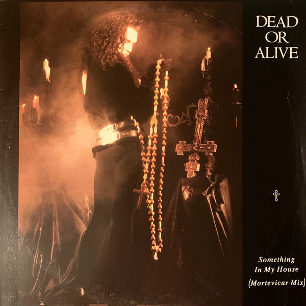 Dead Or Alive : Something In My House (Mortevicar Mix) (12", Single)