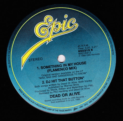 Dead Or Alive : Something In My House (Mortevicar Mix) (12", Single)