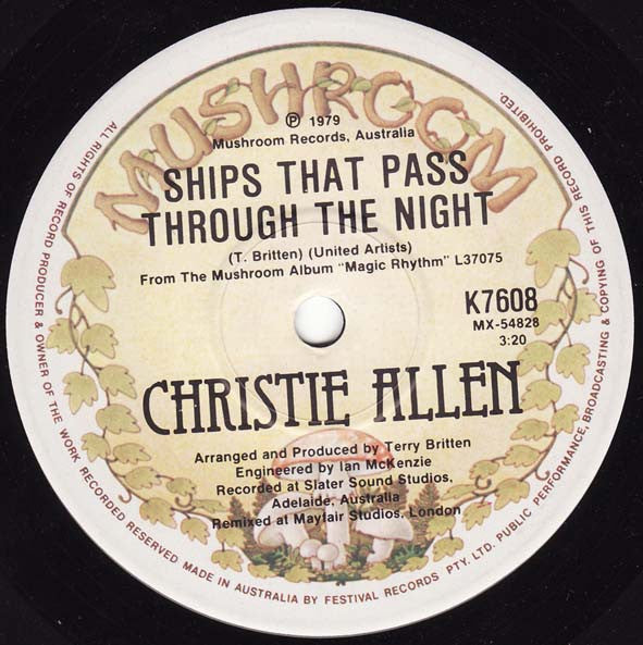 Christie Allen : Goose Bumps (7", Single)