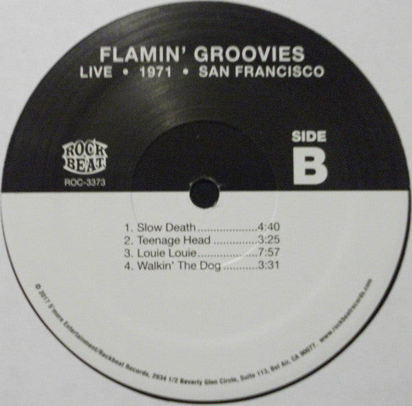 The Flamin' Groovies : Live 1971 San Francisco (LP, Album)