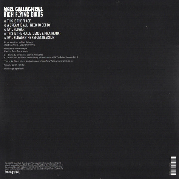 Noel Gallagher's High Flying Birds : This Is The Place (12", Single)