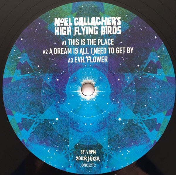 Noel Gallagher's High Flying Birds : This Is The Place (12", Single)