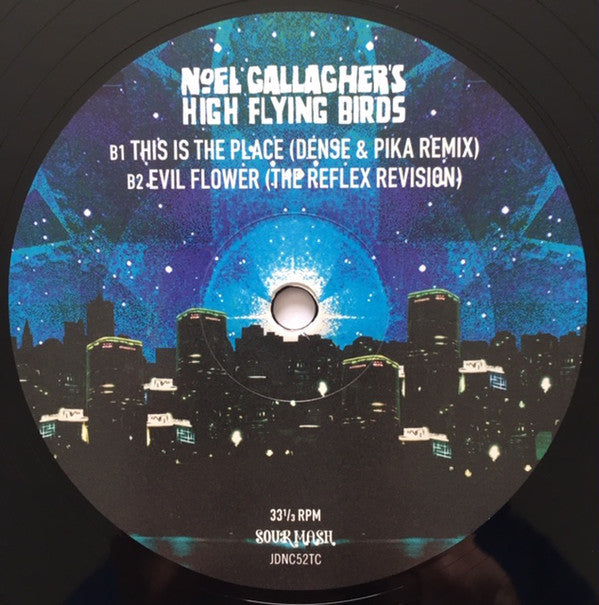 Noel Gallagher's High Flying Birds : This Is The Place (12", Single)