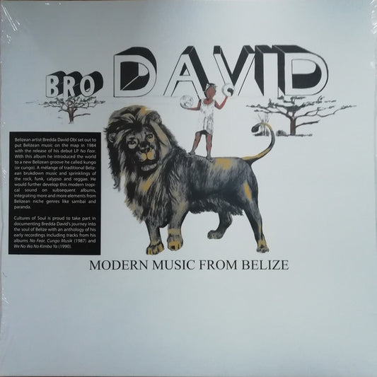 Bro. David : Modern Music From Belize (LP, Comp)