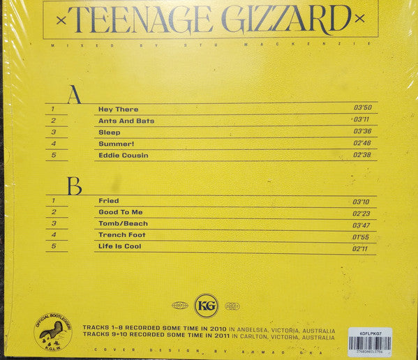 King Gizzard And The Lizard Wizard : Teenage Gizzard (LP, Comp)