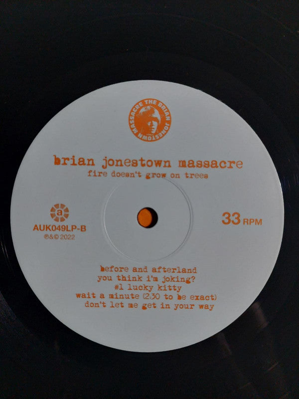 The Brian Jonestown Massacre : Fire Doesn't Grow On Trees (LP, Album)