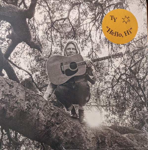 Ty Segall : "Hello, Hi" (LP, Album)