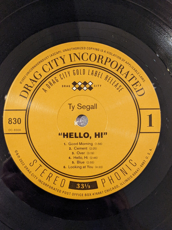 Ty Segall : "Hello, Hi" (LP, Album)