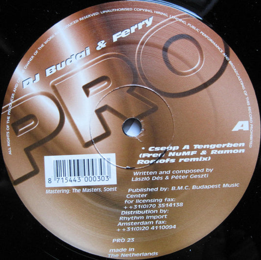 DJ Budai & Ferry : Csepp A Tengerben (12")