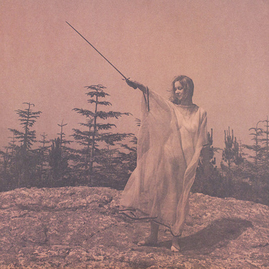 Unknown Mortal Orchestra : II (LP, Album)