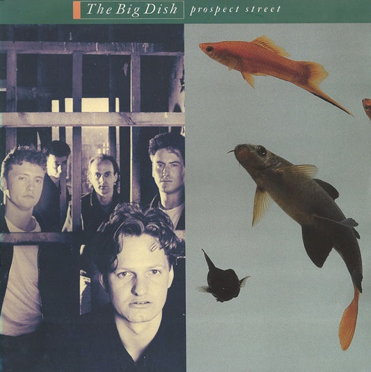 The Big Dish : Prospect Street (12")